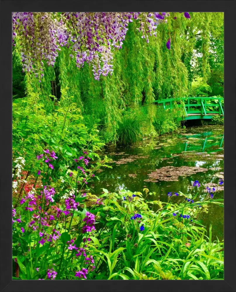 Where Colors Breathe in Brush-strokes: Claude Monet's Water Garden - Fine Art