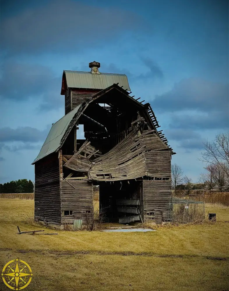 Fallen. Forgotten. - Fine Art