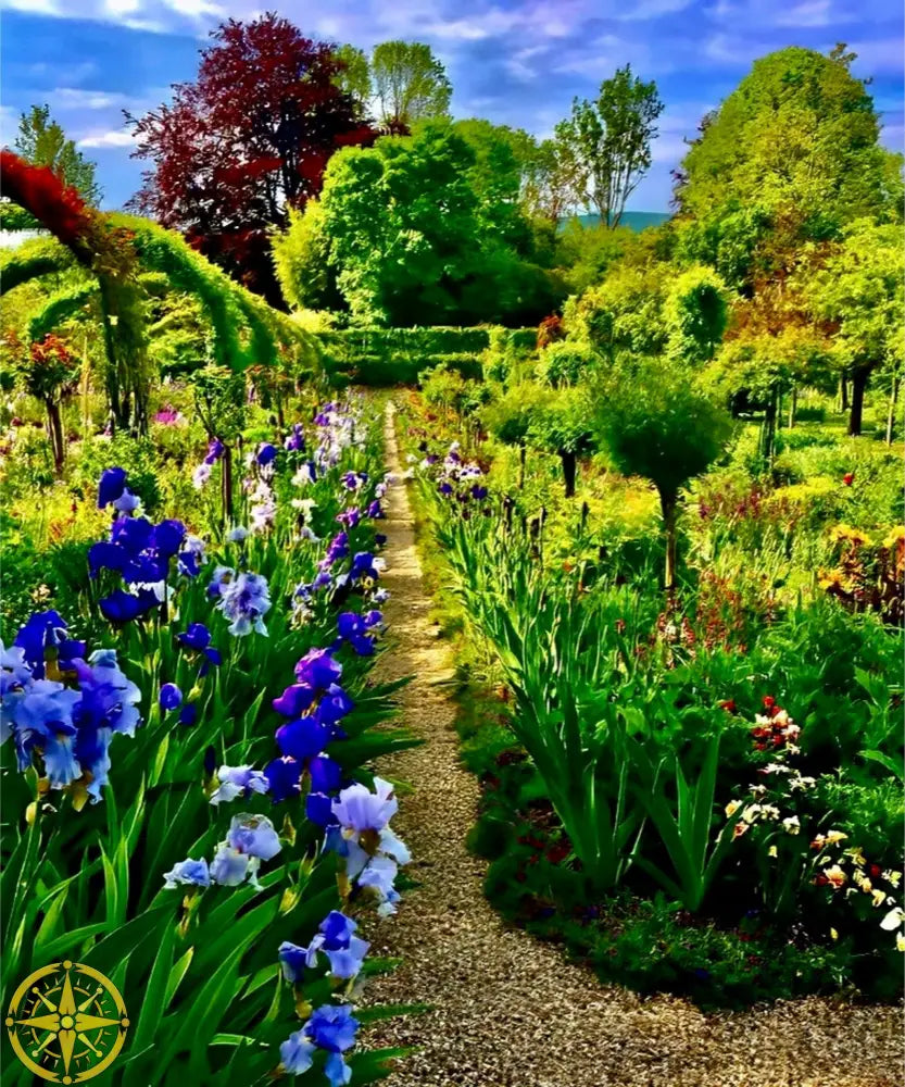 In Claude Monet's Garden: Path of Irises - Fine Art