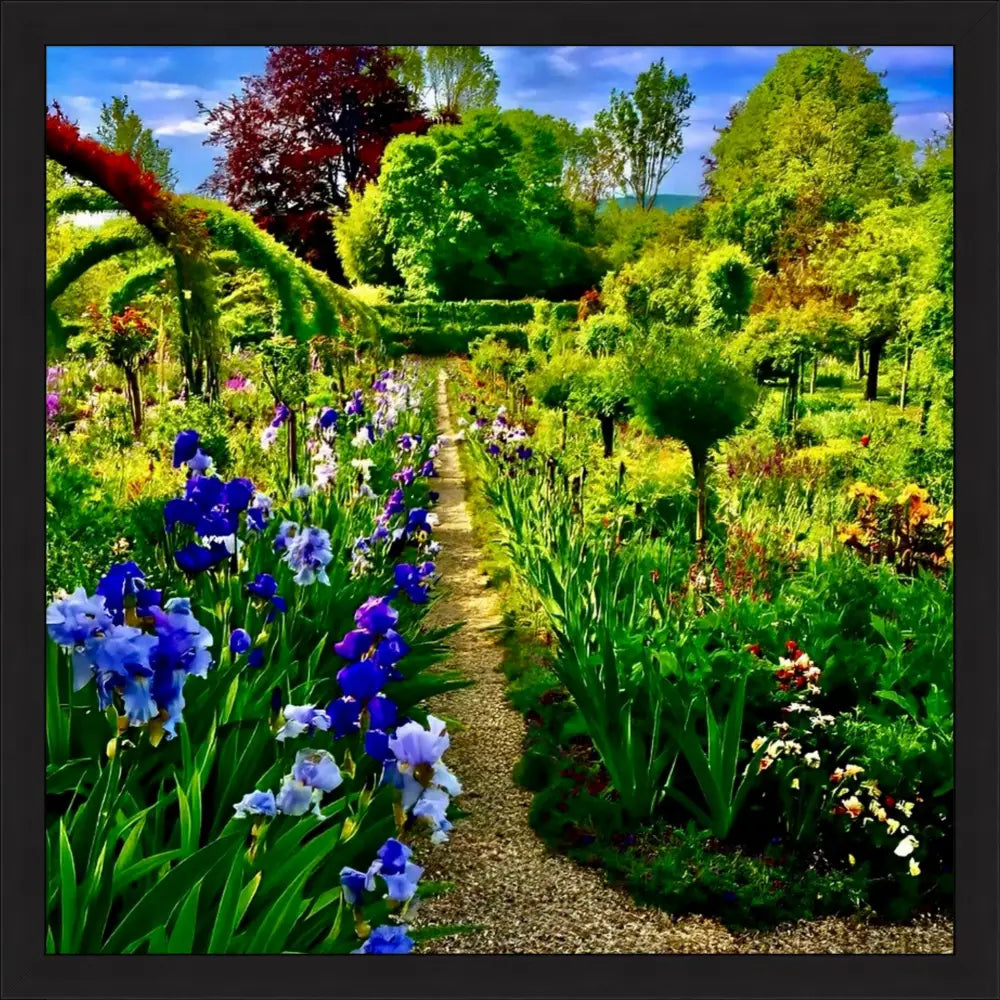 In Claude Monet's Garden: Path of Irises - Fine Art
