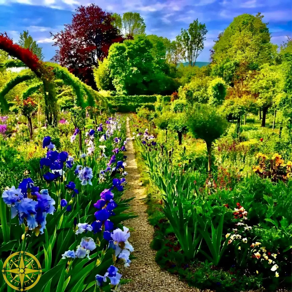 In Claude Monet's Garden: Path of Irises - Fine Art