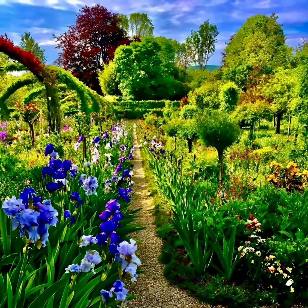 In Claude Monet's Garden: Path of Irises - Fine Art