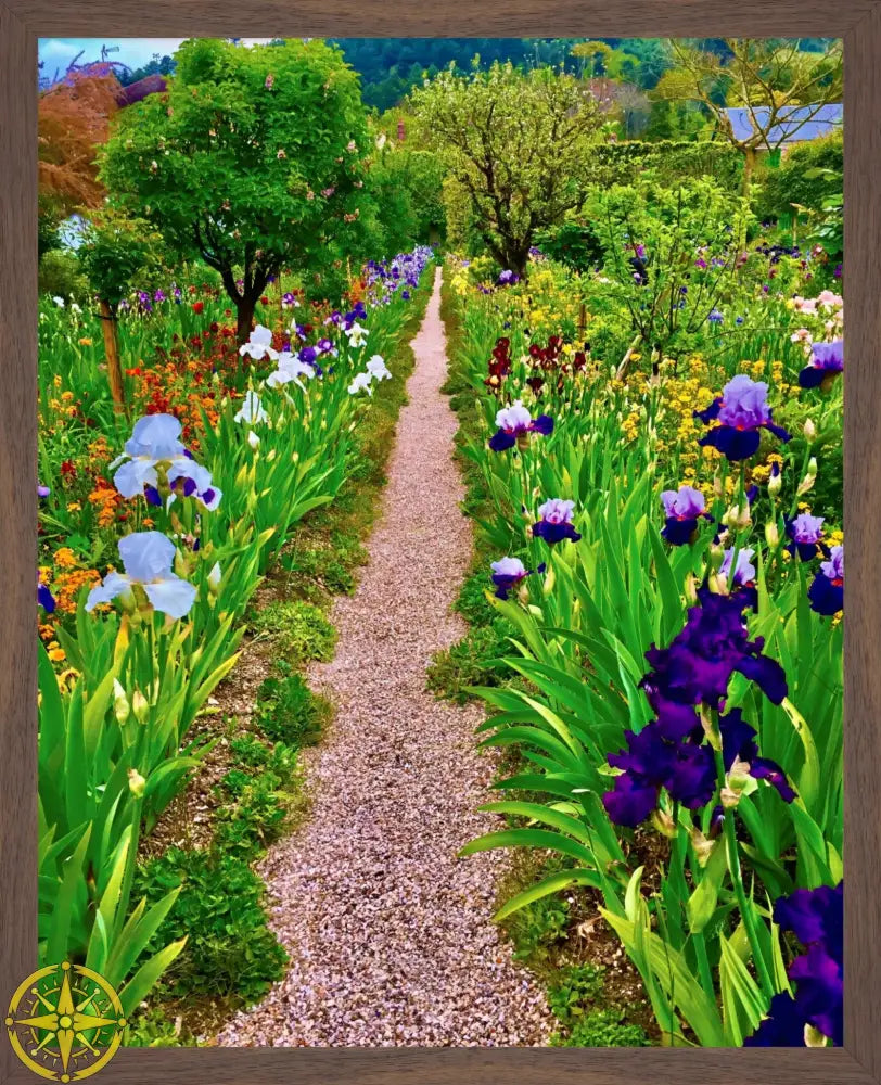 In Claude Monet's Garden: The Iris Parade - Fine Art