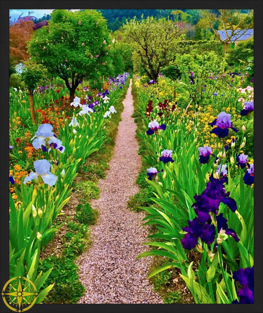 In Claude Monet's Garden: The Iris Parade - Fine Art