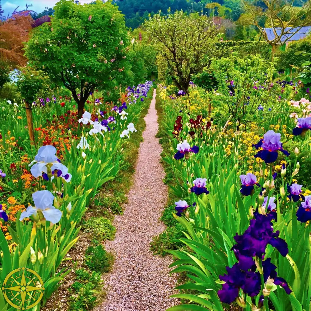In Claude Monet's Garden: The Iris Parade - Fine Art