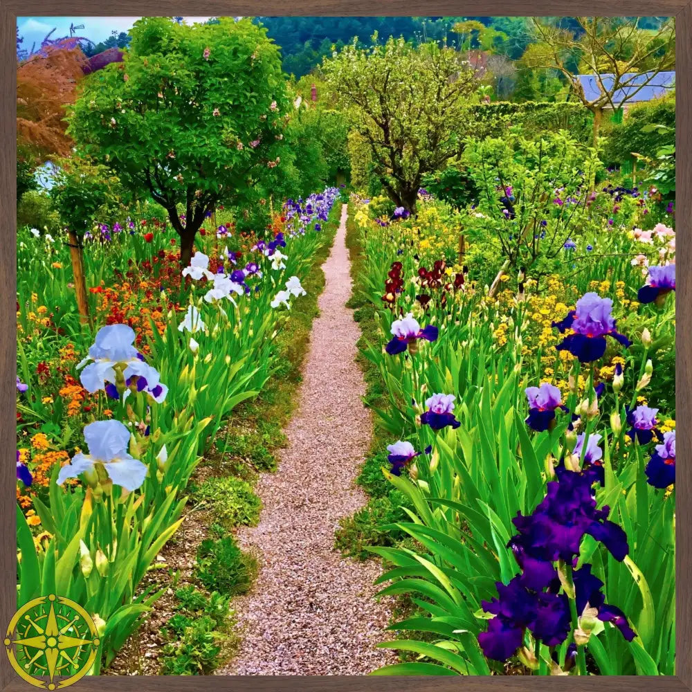 In Claude Monet's Garden: The Iris Parade - Fine Art