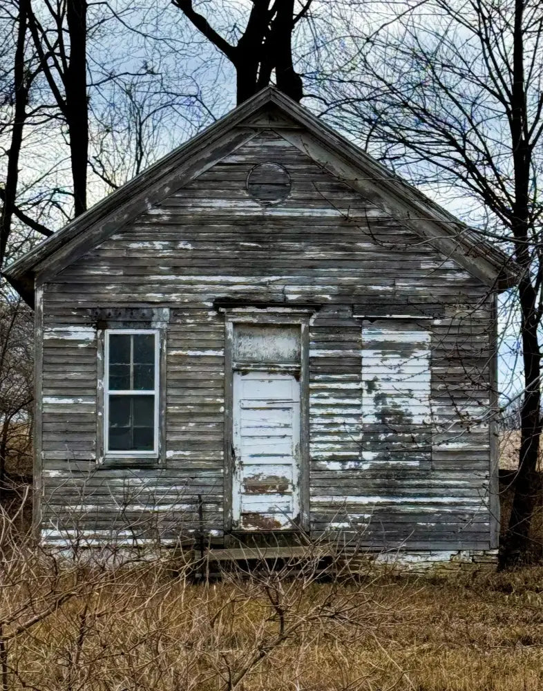 Little House In the Woods - Fine Art