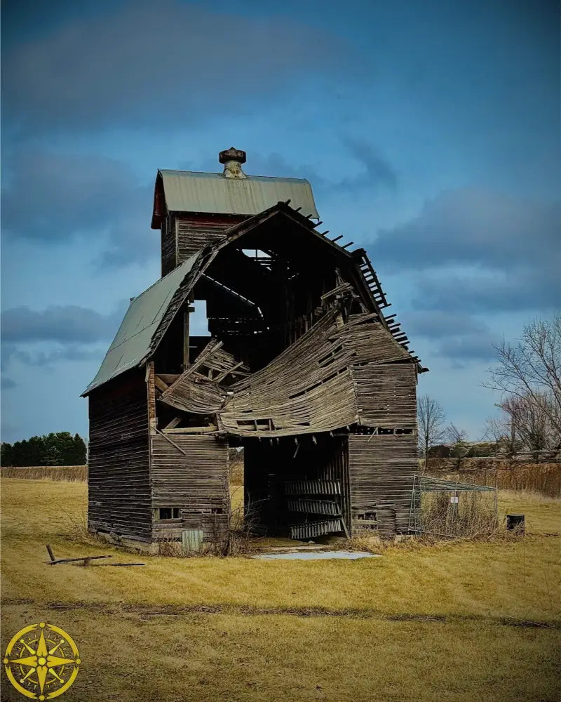 Fallen. Forgotten. - Fine Art