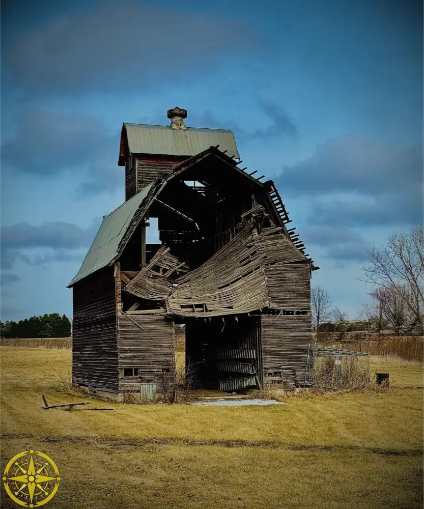 Fallen. Forgotten. - Fine Art
