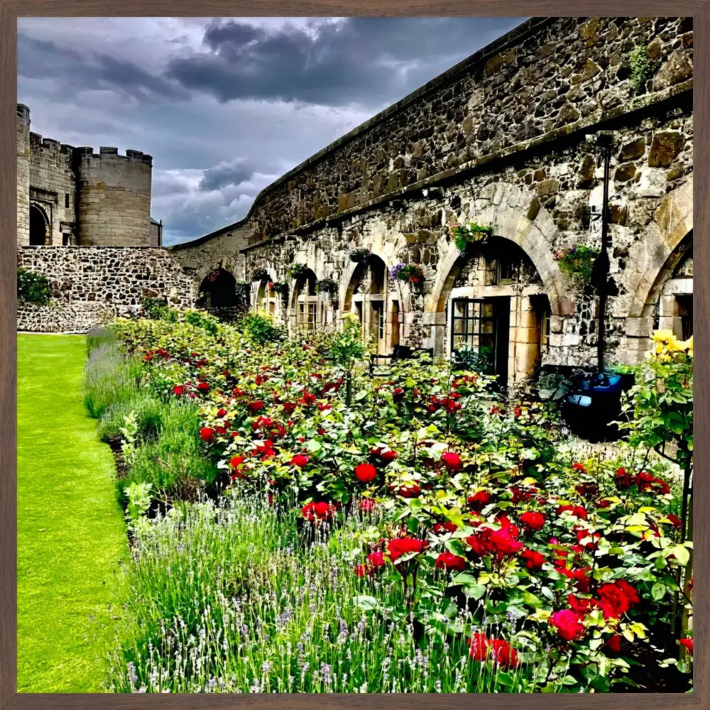 Gallery of Arches and Roses - Fine Art