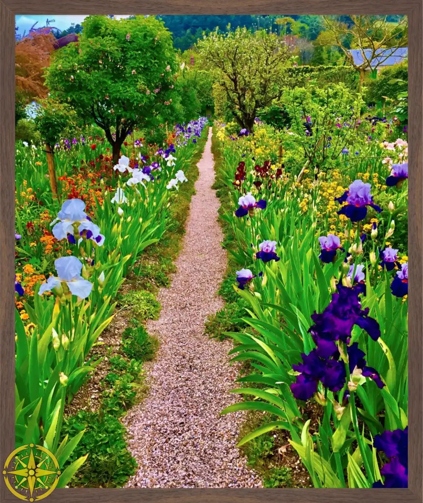 In Claude Monet's Garden: The Iris Parade - Fine Art