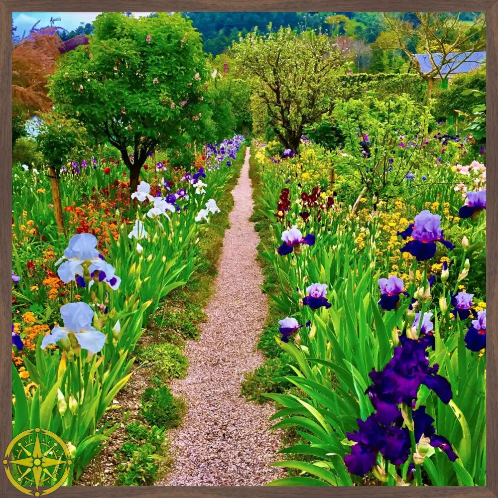 In Claude Monet's Garden: The Iris Parade - Fine Art