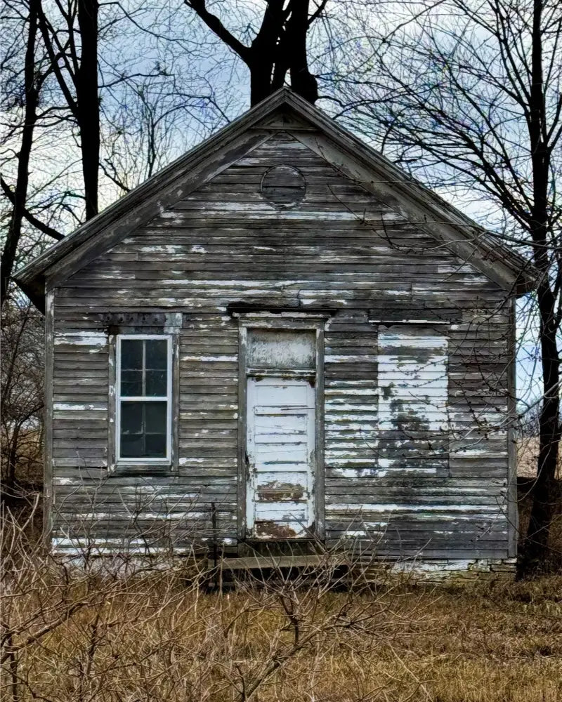 Little House In the Woods - Fine Art