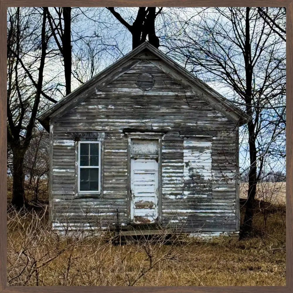 Little House In the Woods - Fine Art