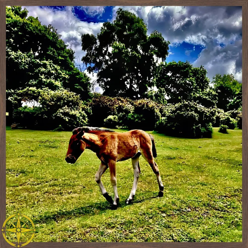 Little One Venturing Out in the New Forest - Fine Art