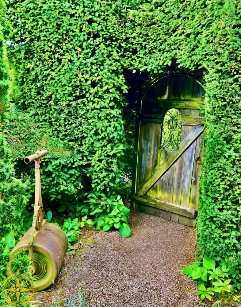 Secret Garden from the Inside - Fine Art