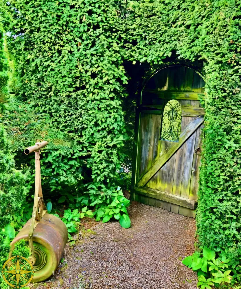 Secret Garden from the Inside - Fine Art