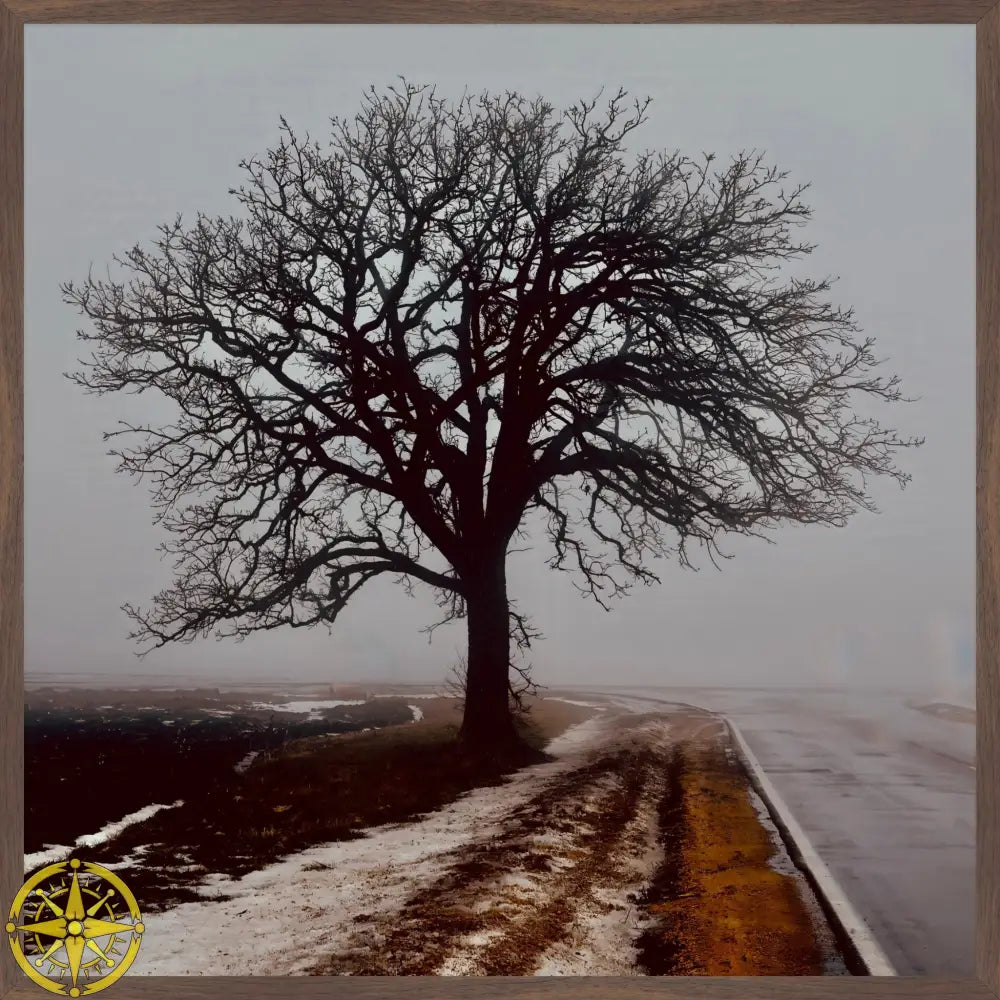 Tree in Fog - Fine Art