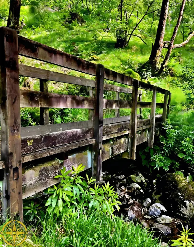 Welcoming Bridge Exploring Pitlochry Forest - Fine Art