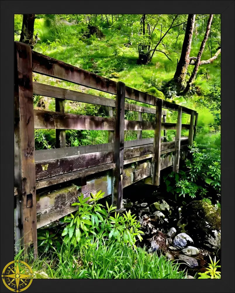 Welcoming Bridge Exploring Pitlochry Forest - Fine Art