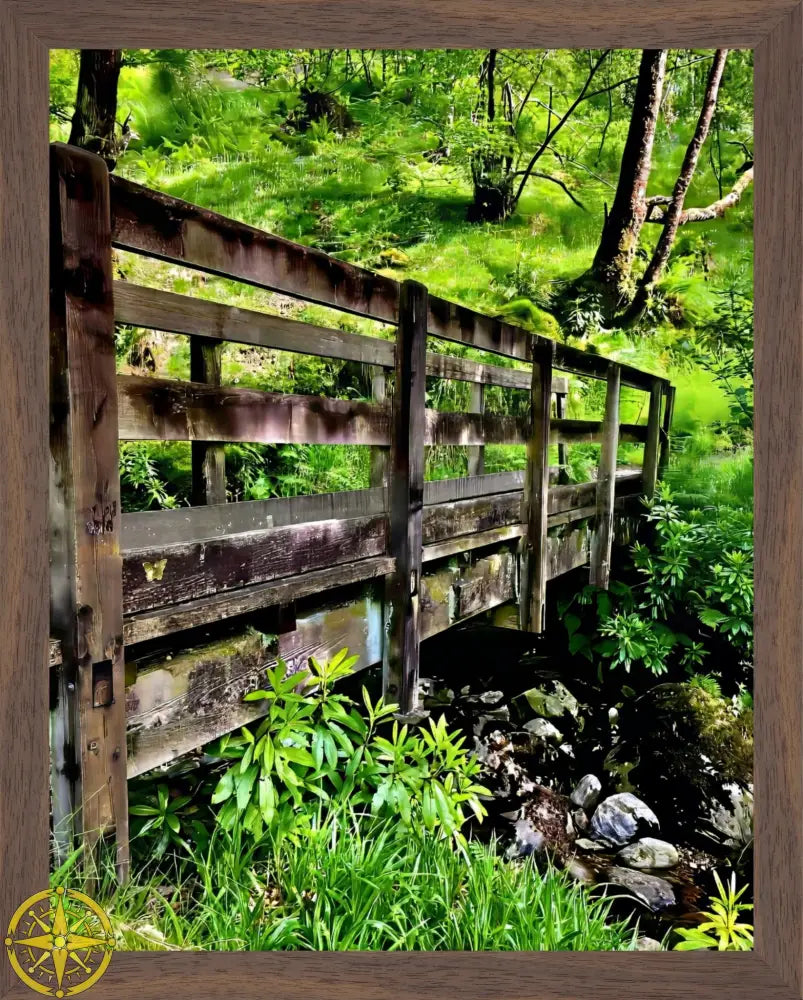Welcoming Bridge Exploring Pitlochry Forest - Fine Art