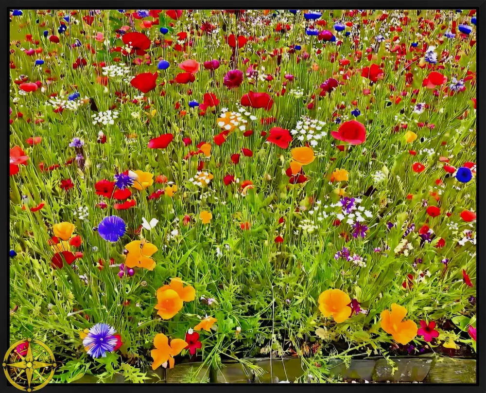 Kaleidoscope of Late Spring Color - Canvas