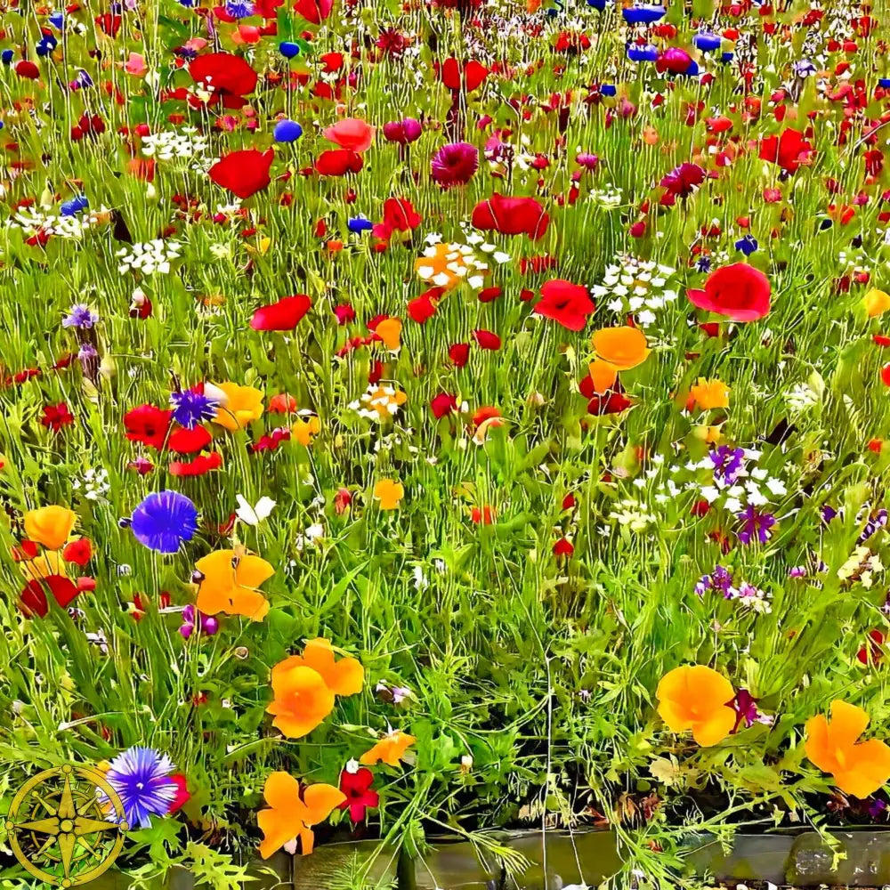Kaleidoscope of Late Spring Color - Fine Art