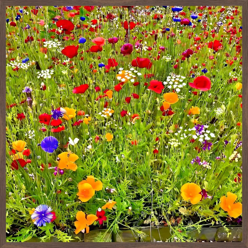 Kaleidoscope of Late Spring Color - Fine Art