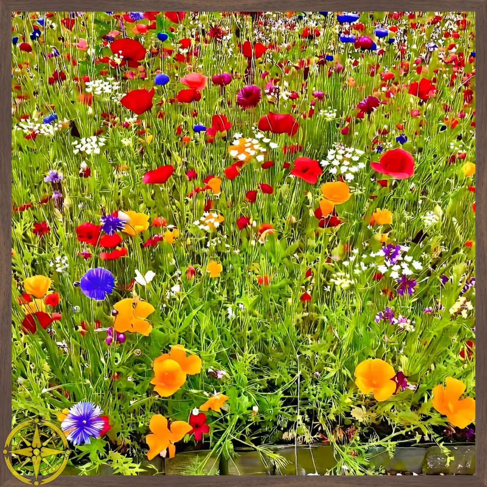 Kaleidoscope of Late Spring Color - Fine Art