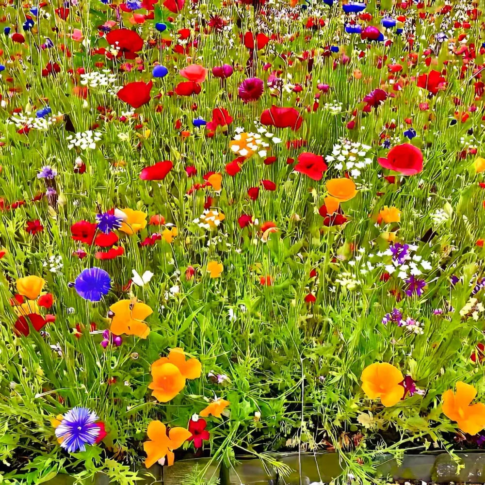 Kaleidoscope of Late Spring Color - Acrylic