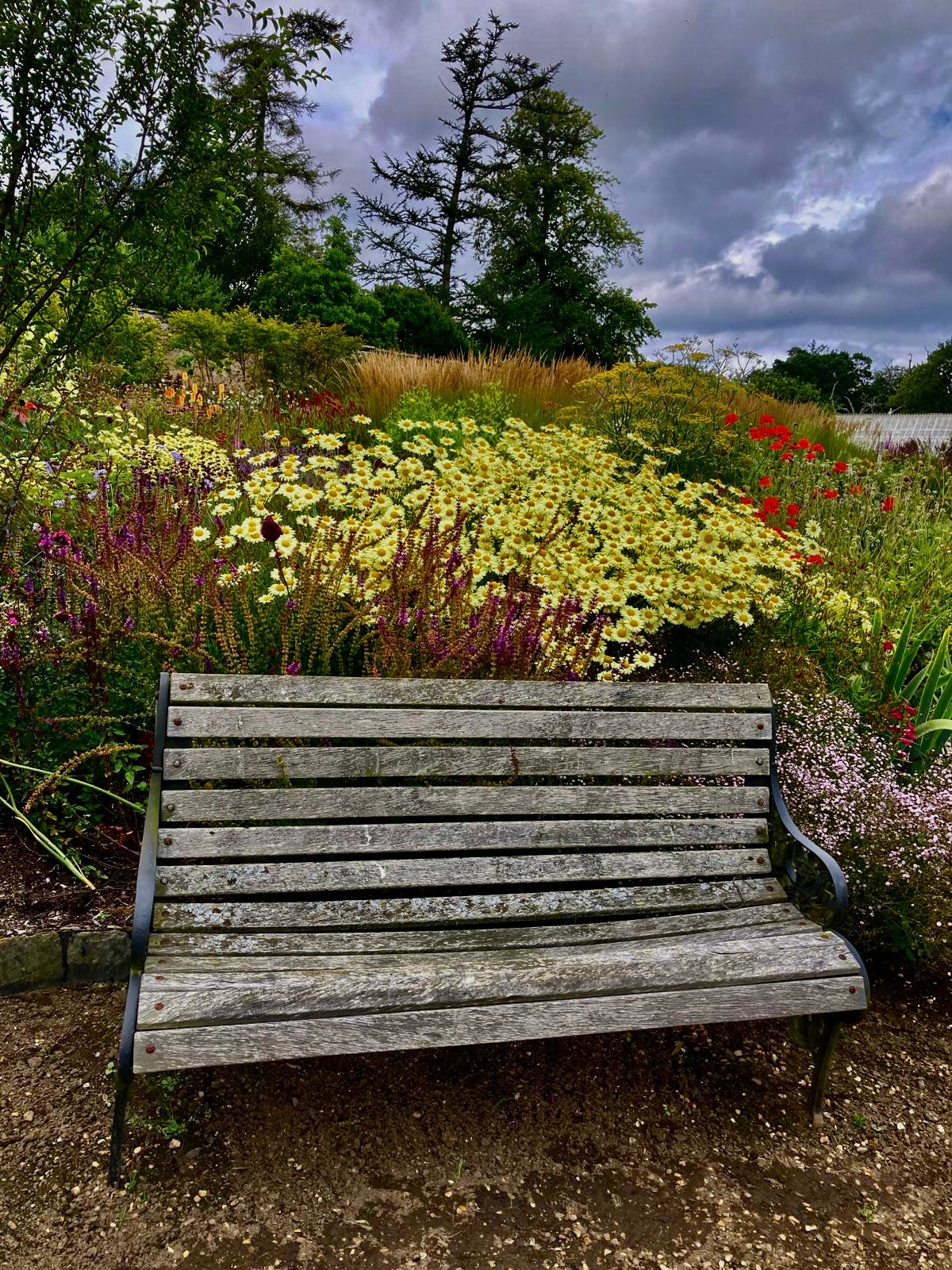 Weathered Bench