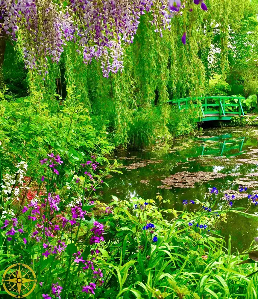 Where Colors Breathe in Brush-strokes: Claude Monet's Water Garden - Fine Art