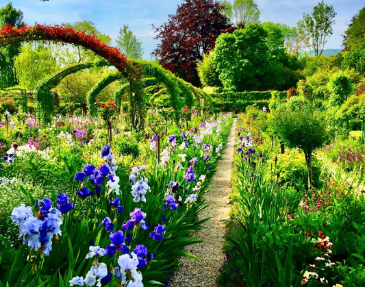 The Irises' Parade