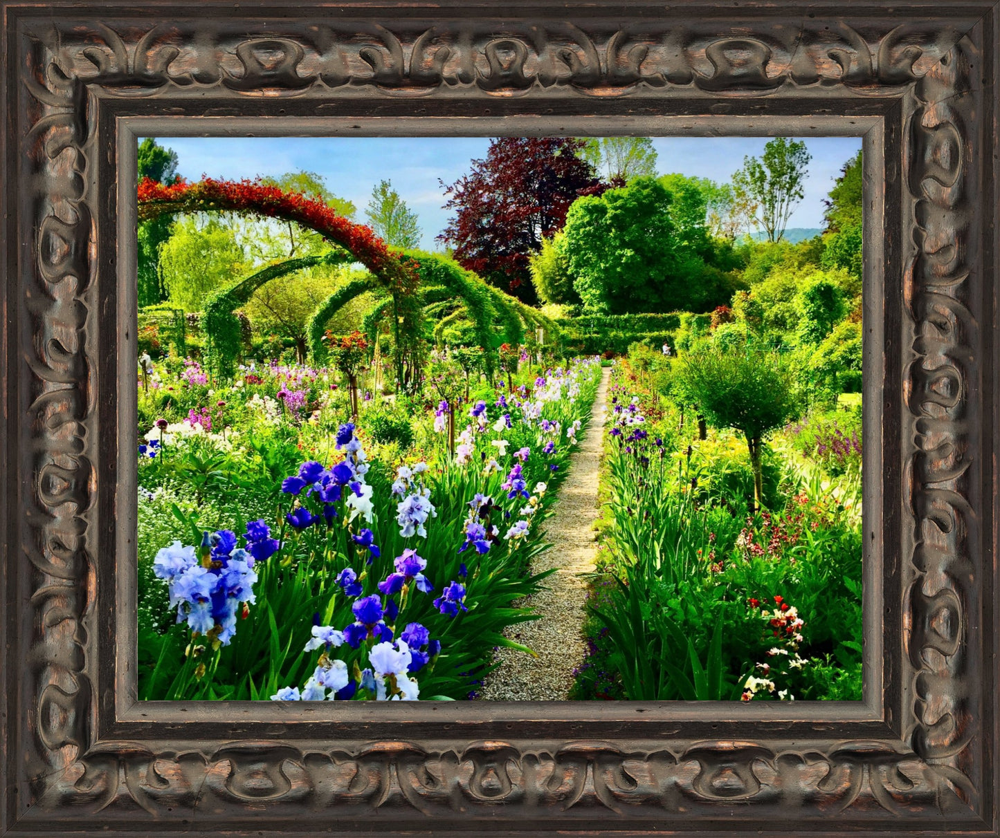 The Irises' Parade