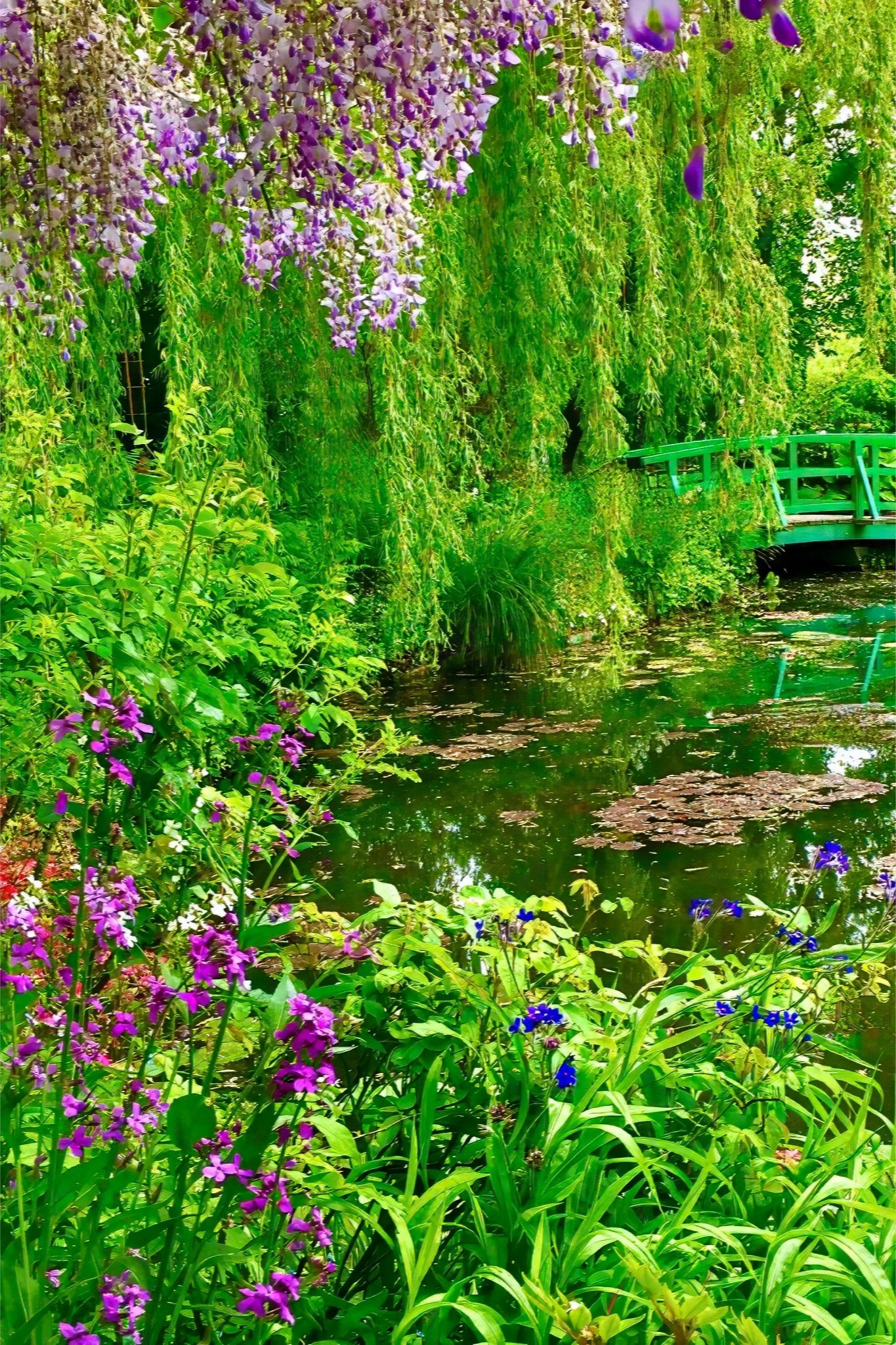 Monet's Water Garden - Canvas