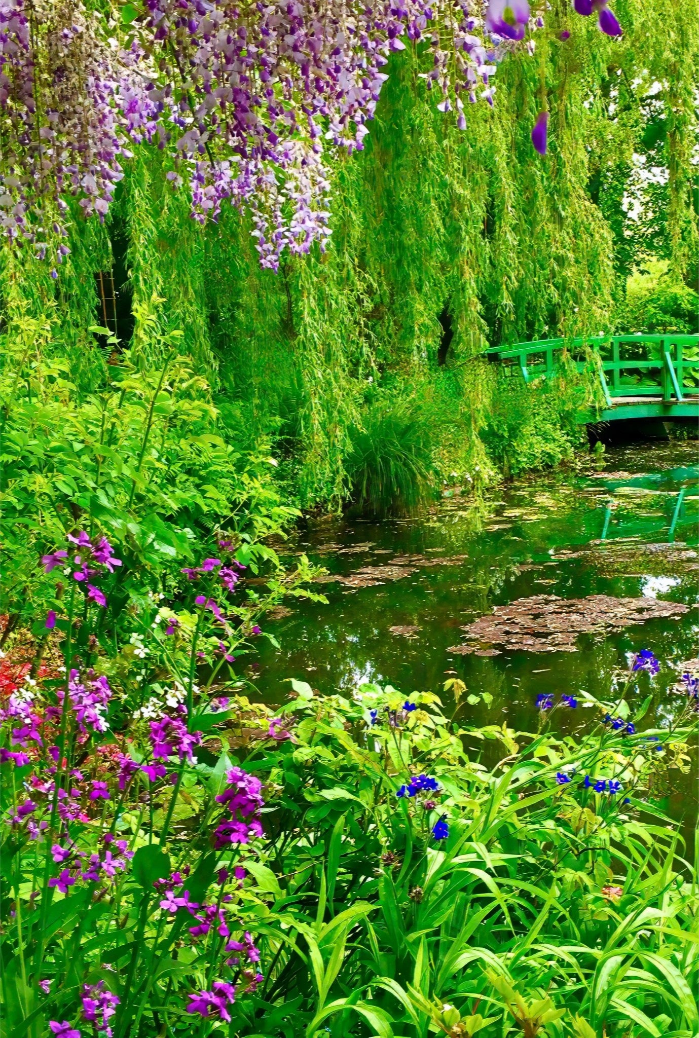 Claude Monet's Water Garden - Acrylic