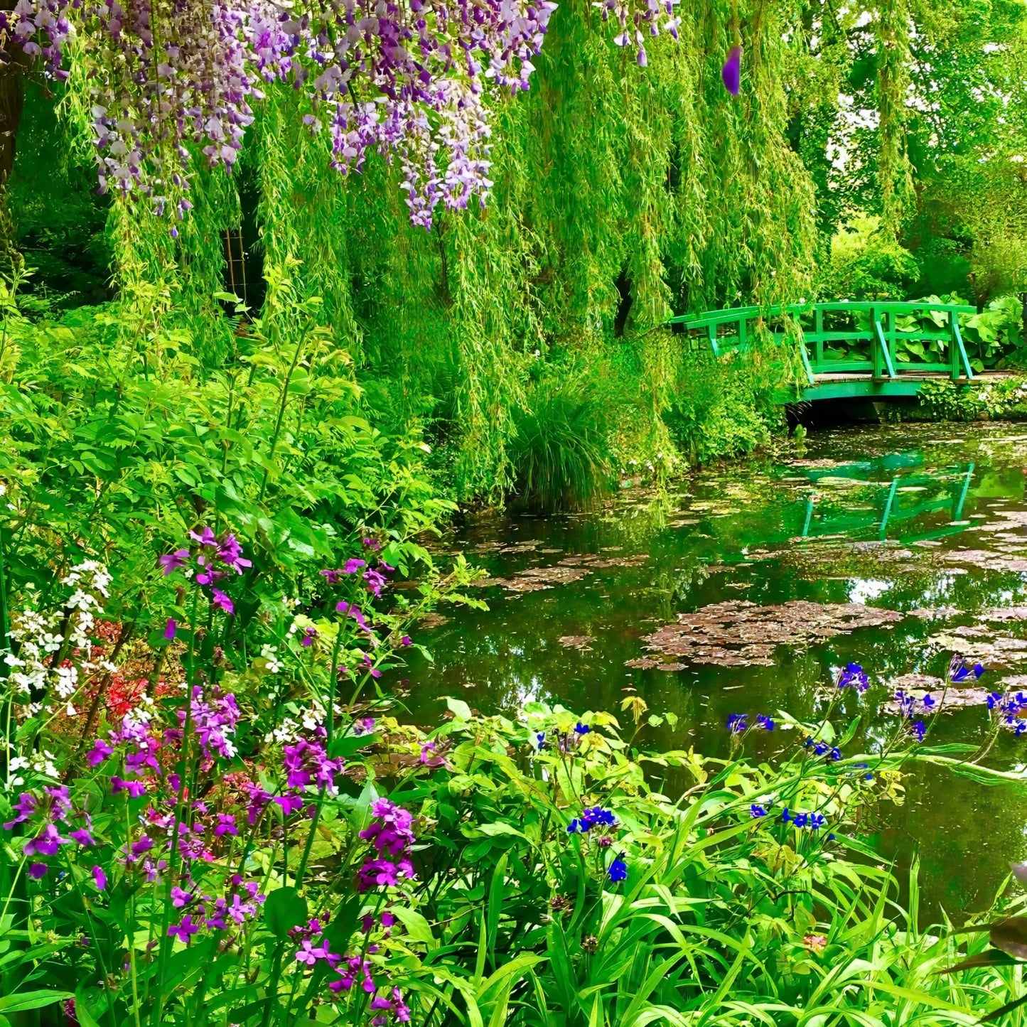 Claude Monet's Water Garden - Acrylic