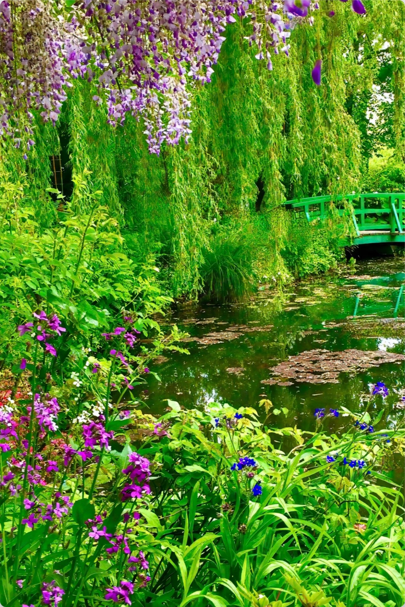 Monet's Water Garden - Metal