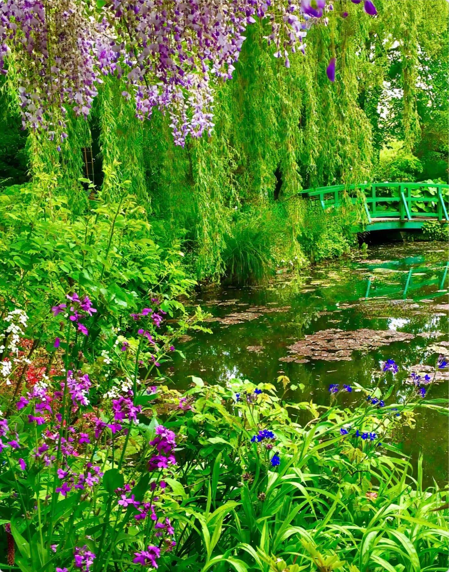 Monet's Water Garden - Metal