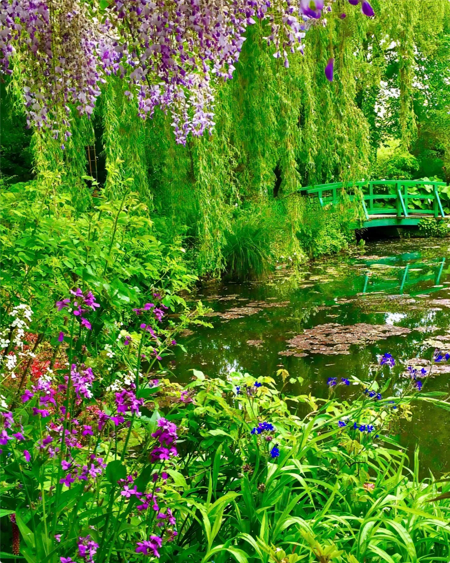 Monet's Water Garden - Metal