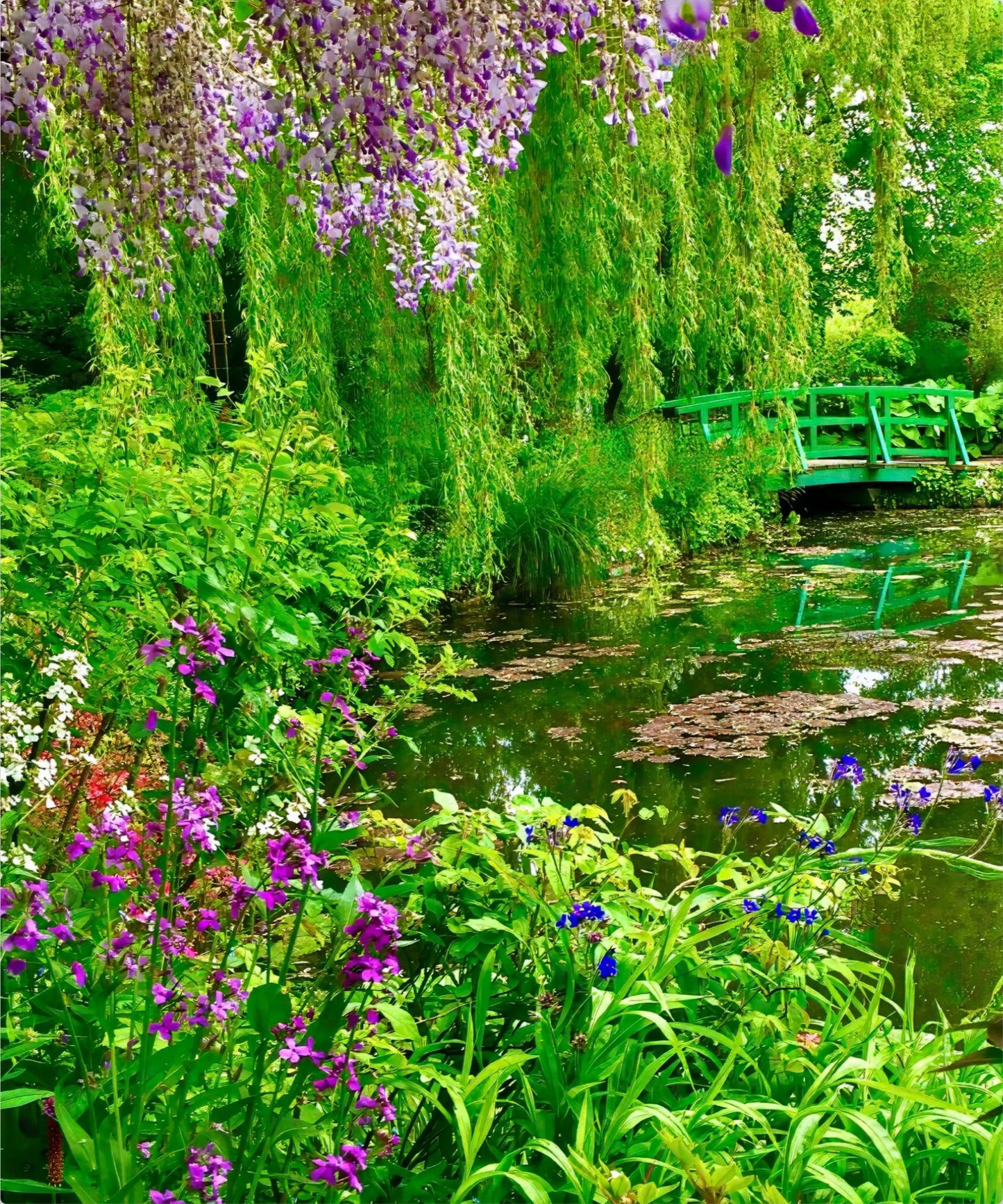 Monet's Water Garden - Metal