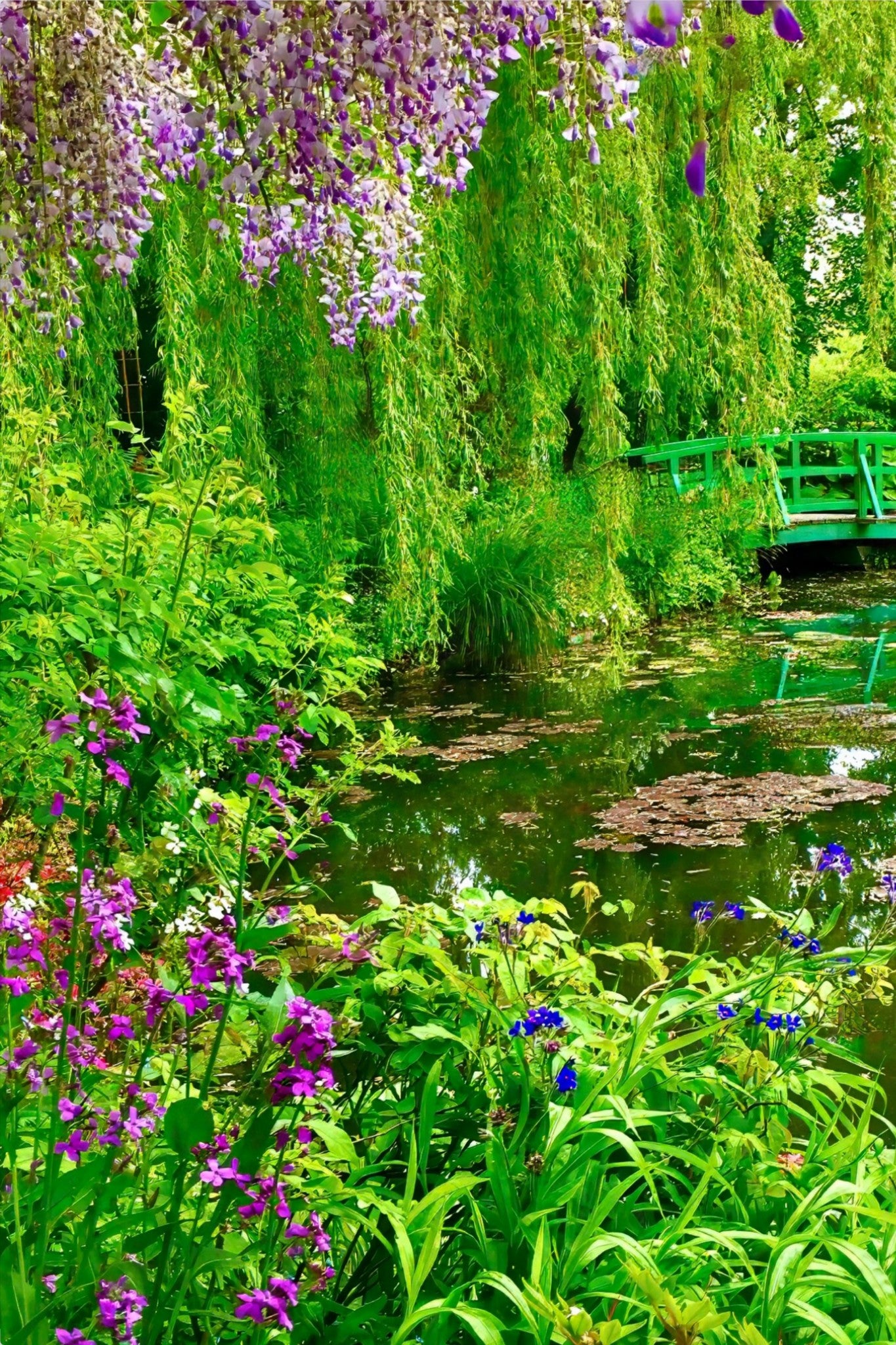 Monet's Water Garden - Metal