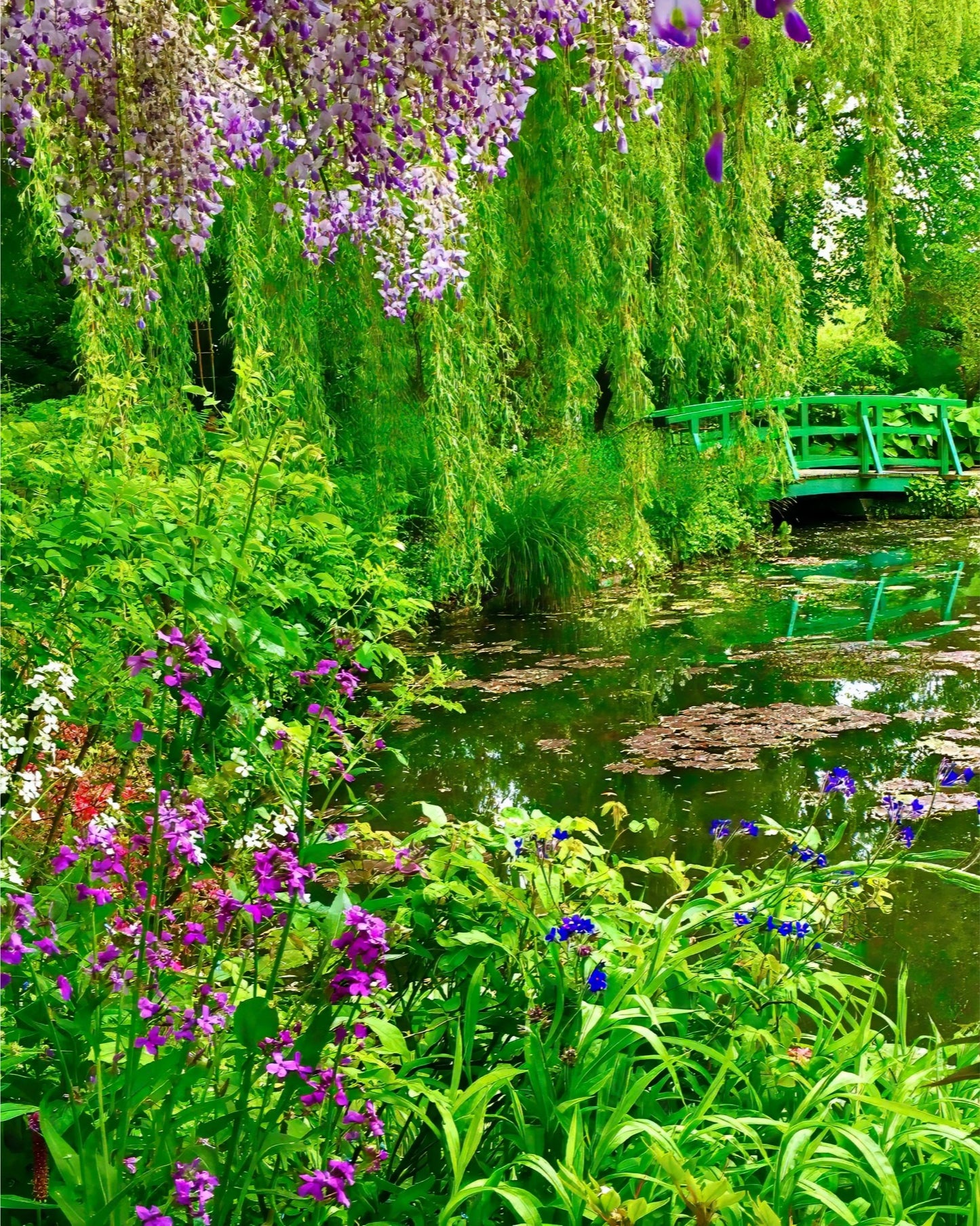 Monet's Water Garden - Fine Art