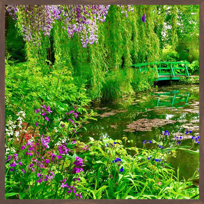 Monet's Water Garden - Fine Art