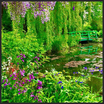 Monet's Water Garden - Fine Art