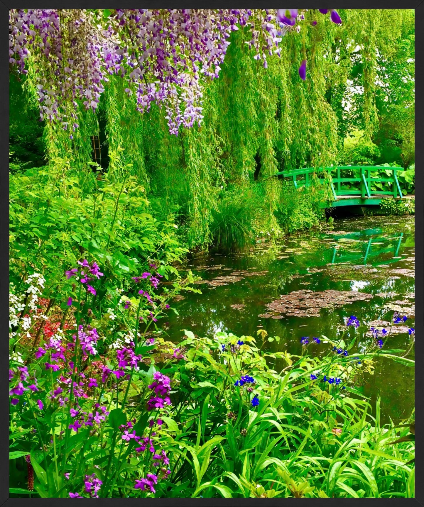 Monet's Water Garden - Fine Art