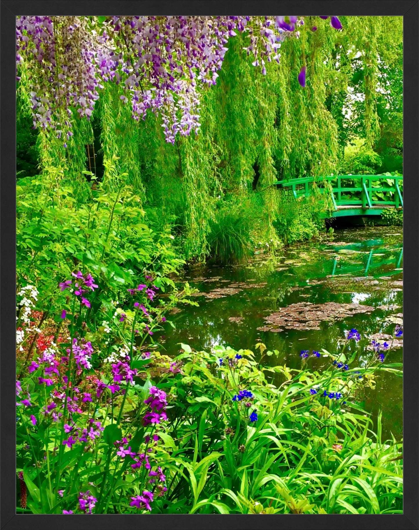 Monet's Water Garden - Fine Art
