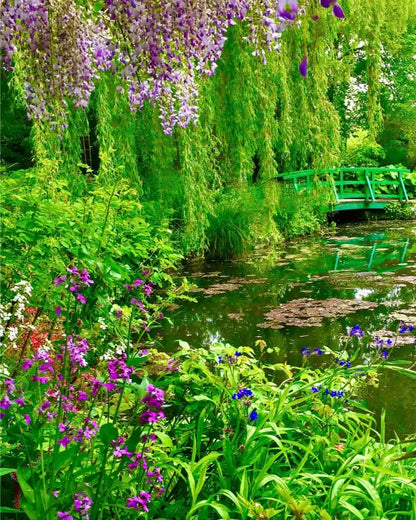 Where the Colors Breathe in Brushstrokes - Claude Monet's Water Garden - Fine Art