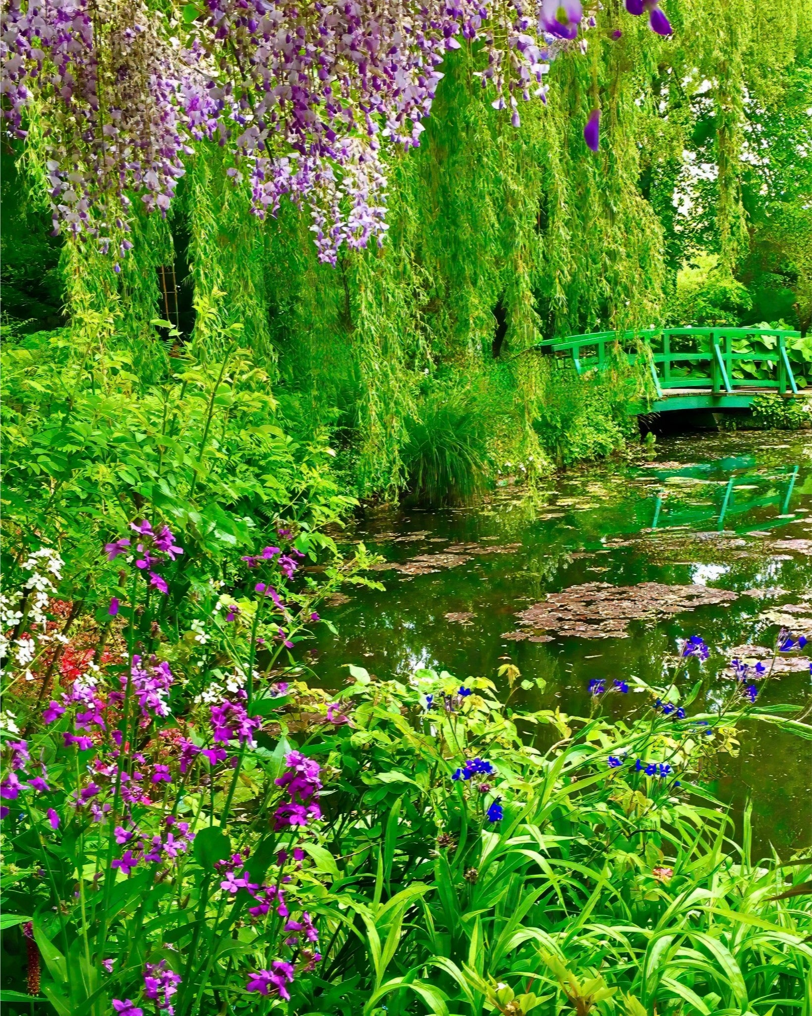 Monet's Water Garden - Fine Art