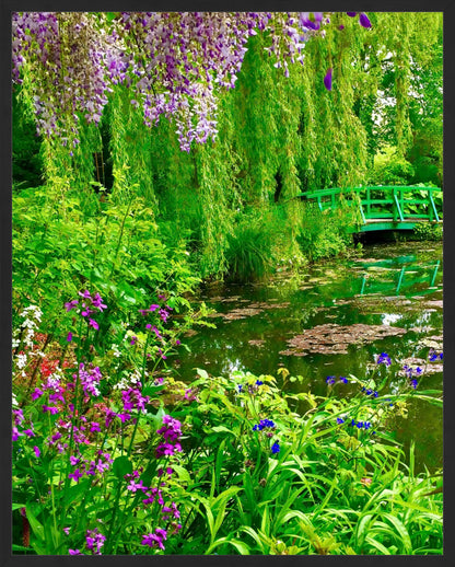 Monet's Water Garden - Fine Art